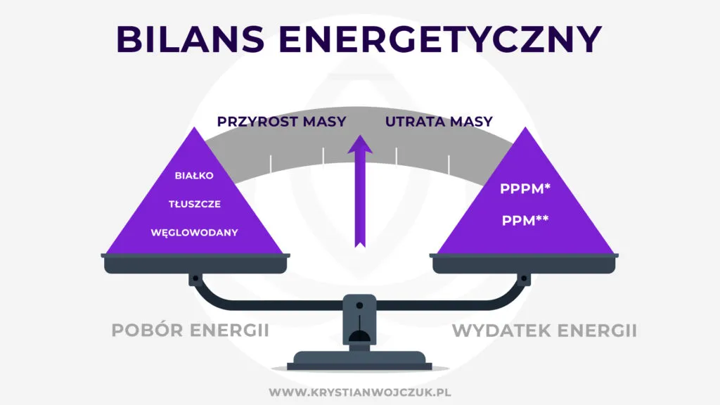 Grafika przedstawia wagę obrazującą czym dokładnie jest bilans energetyczny: Po prawej stronie: PPPM i PPM, a po lewej: białka, tłuszcze, węglowodany