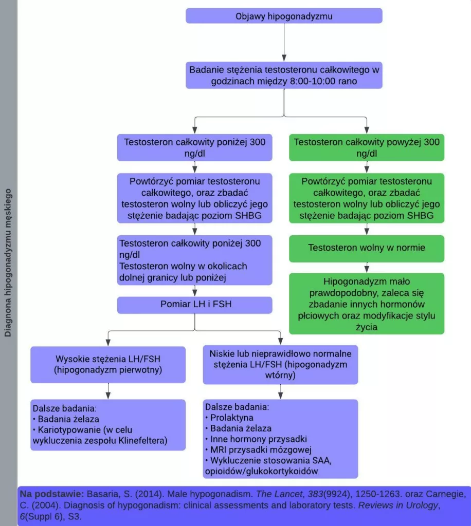 Ilustracja w prosty sposób przedstawia proces diagnozy niedoboru testosteronu u mężczyzn oraz wymagane badania w celu określenia przyczyny hipogonadyzmu