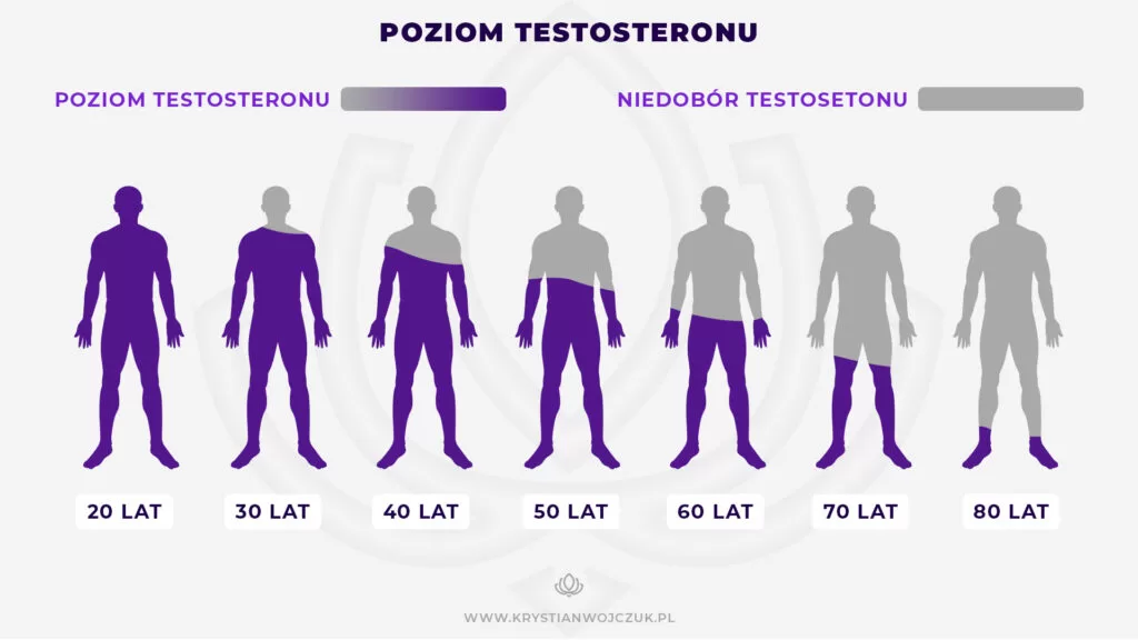 Ilustracja przedstawia męskie sylwetki oraz szacowany poziom testosteronu w różnym okresie życia