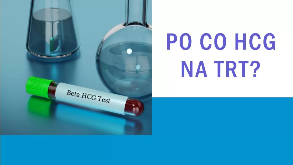 Próbka z krwią, podpisana "beta hCG test", a obok niej znajduje się napis "po co hCG na TRT?