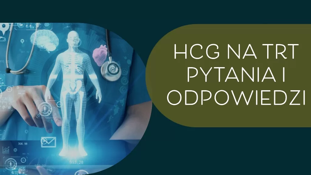 Ilustracja przedstawia model człowieka i napis "hCG na TRT - pytania i odpowiedzi"