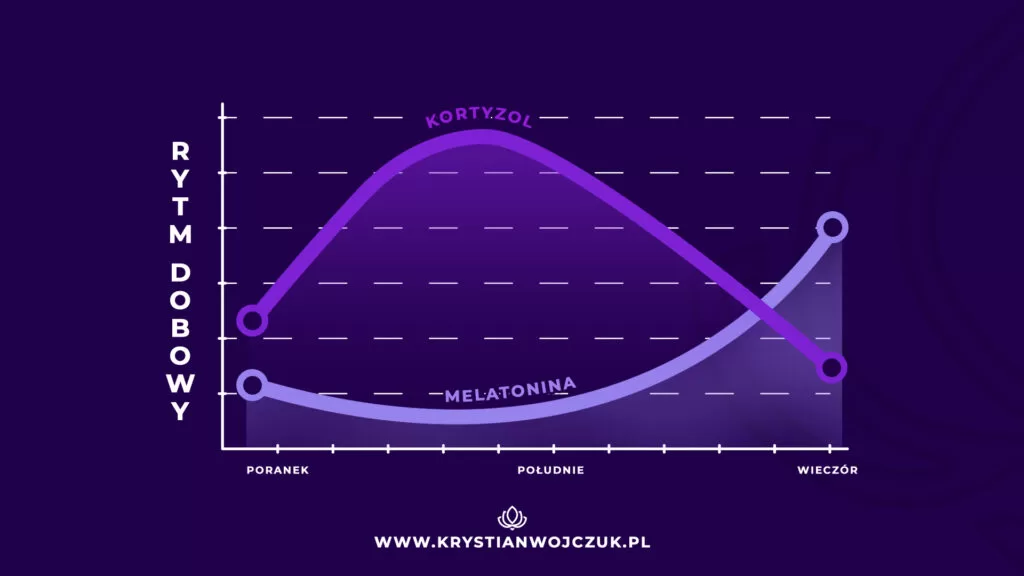 Krzywa melatonina-kortyzol przy prawidłowo zachowanym rytmie dobowym