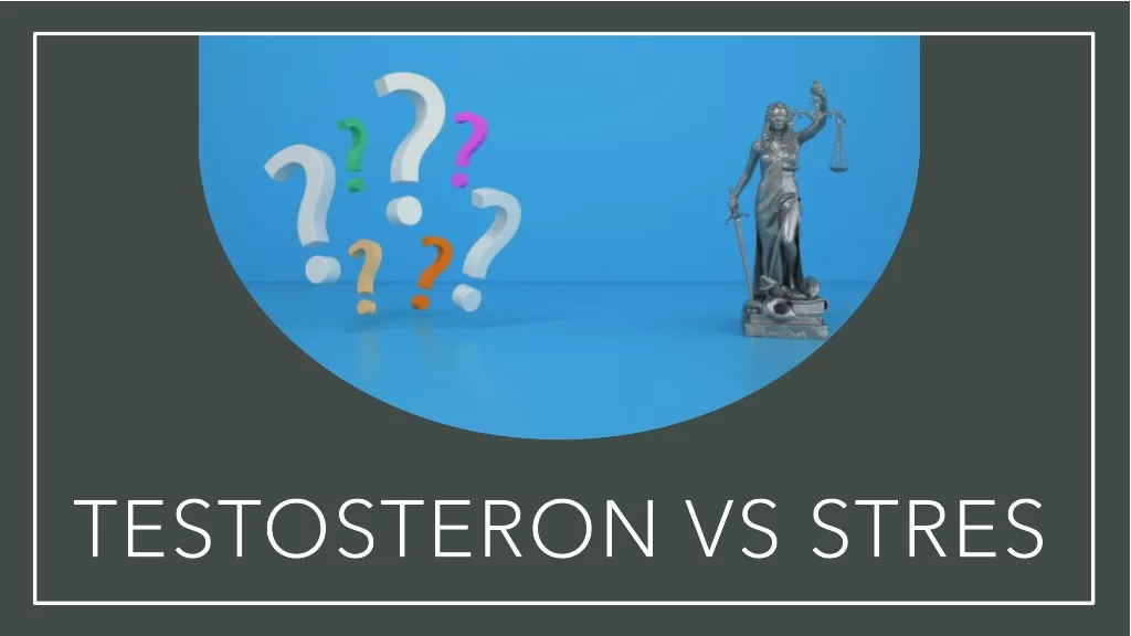 Ilustracja przedstawia napis "testosteron vs stres"