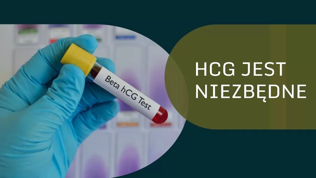 Lekarz trzyma próbkę krwi podpisaną "beta hCG test", a obok znajduje się napis "hCG jest niezbędne"