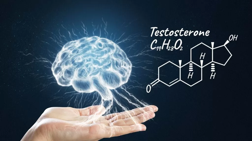 Jak testosteron wpływa na mózg u mężczyzn i kobiet