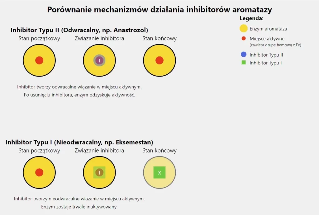 Porównanie mechanizmu działania Anastrazolu I Eksemestanu