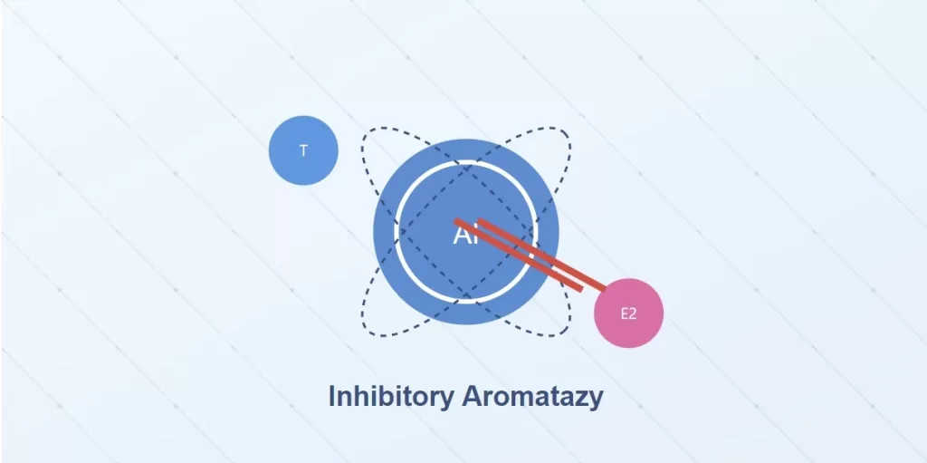 Inhibitory Aromatazy skuteczność u mężczyzn